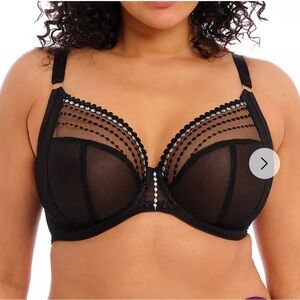 Elomi Maltida Bra in 42J